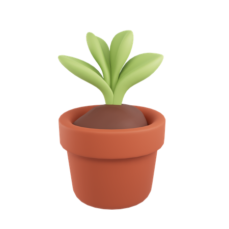 Plant Pot  3D Icon