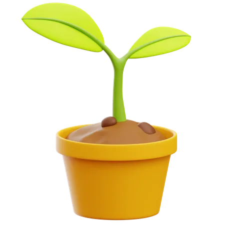 Plant Pot  3D Icon