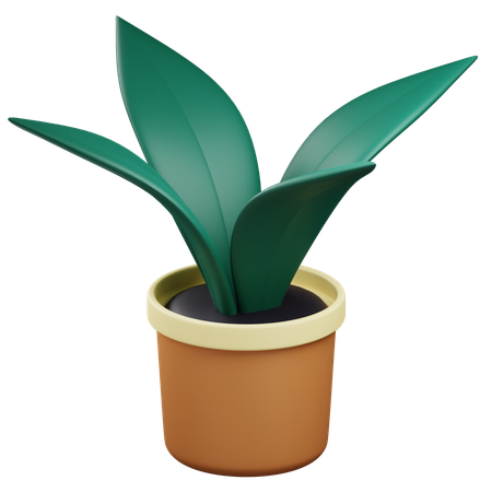 Plant Pot  3D Icon