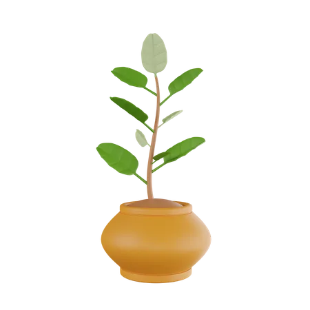 Plant Pot  3D Icon