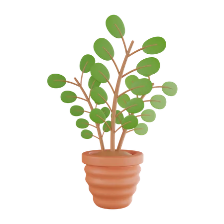 Plant Pot  3D Icon