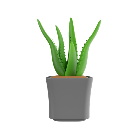 Plant Pot  3D Icon