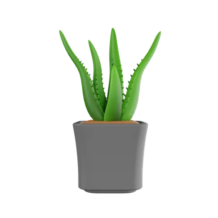 Plant Pot  3D Icon