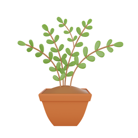 Plant Pot  3D Icon