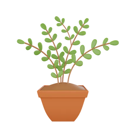 Plant Pot  3D Icon