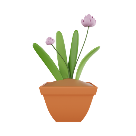 Plant Pot  3D Icon