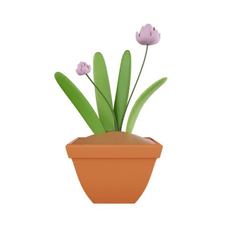 Plant Pot  3D Icon