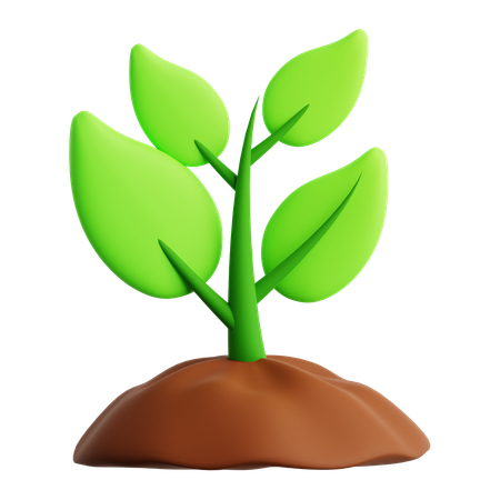 Plant Pot  3D Icon