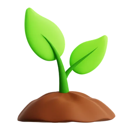 Plant Pot  3D Icon