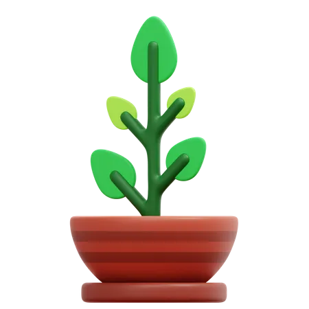 Plant Pot  3D Icon