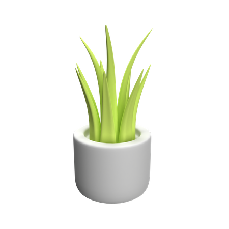 Plant Pot  3D Icon