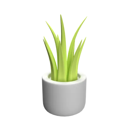 Plant Pot  3D Icon