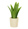 Plant Pot