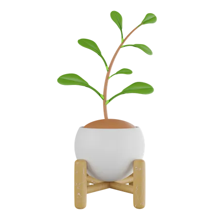 Plant Pot  3D Icon