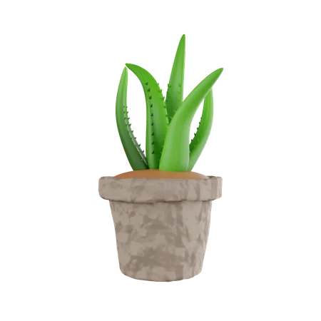 Plant Pot  3D Icon