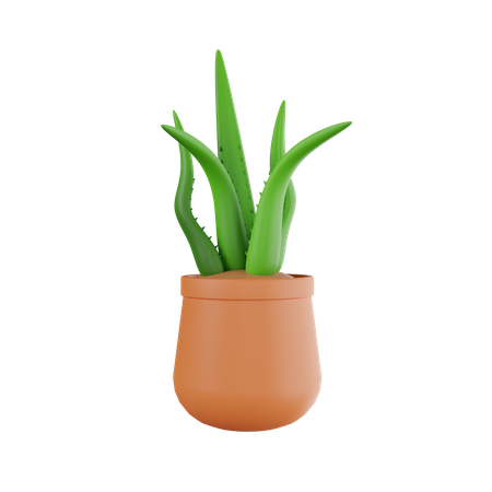 Plant Pot  3D Icon