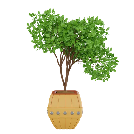 Plant Pot  3D Icon