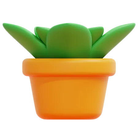 Plant Pot  3D Icon