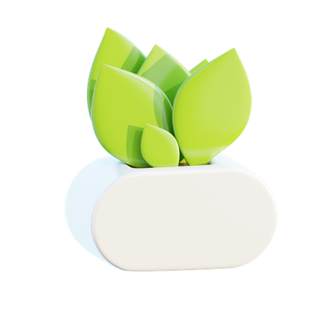 Plant Pot  3D Icon