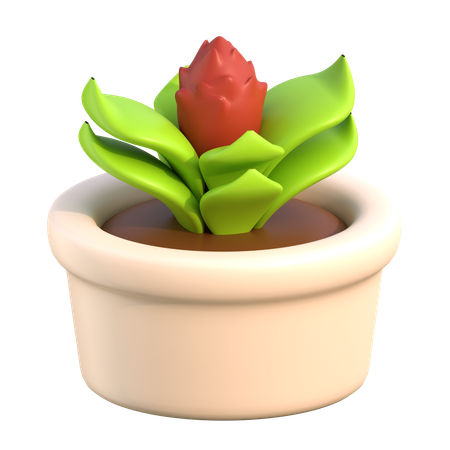 Plant Pot  3D Icon