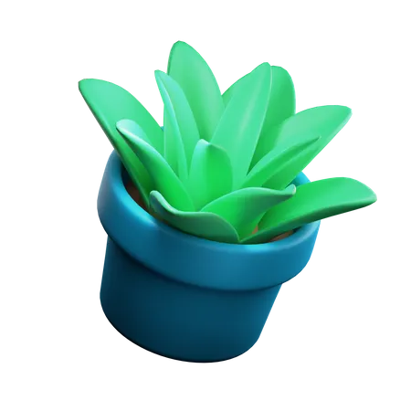 Plant Pot  3D Illustration