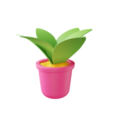 Plant Pot  3D Illustration