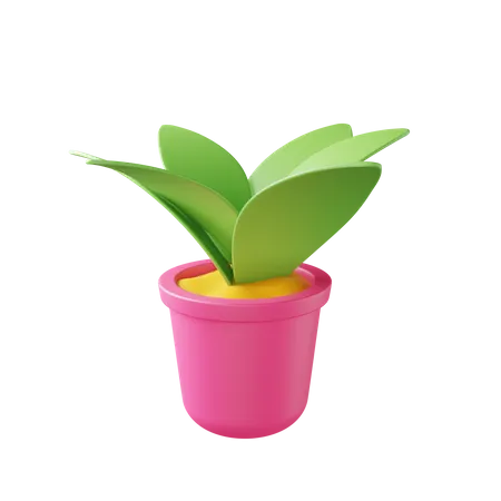 Plant Pot  3D Illustration