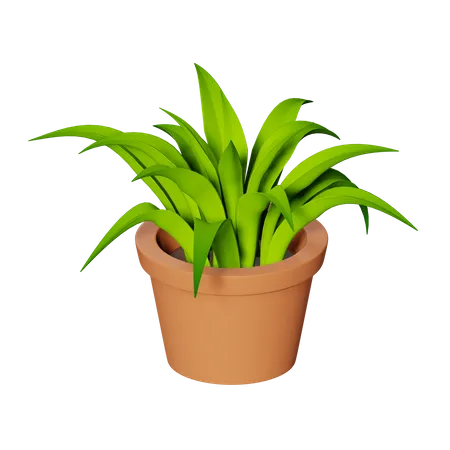 Plant Pot  3D Illustration