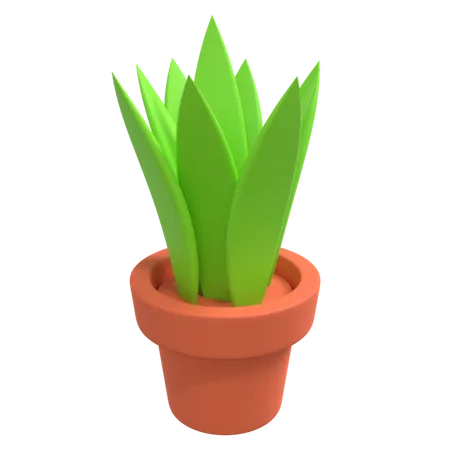 Plant Pot  3D Illustration