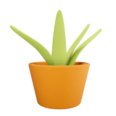 Plant pot  3D Illustration