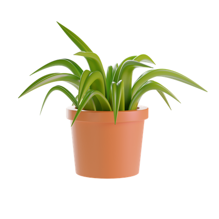 Plant Pot  3D Illustration