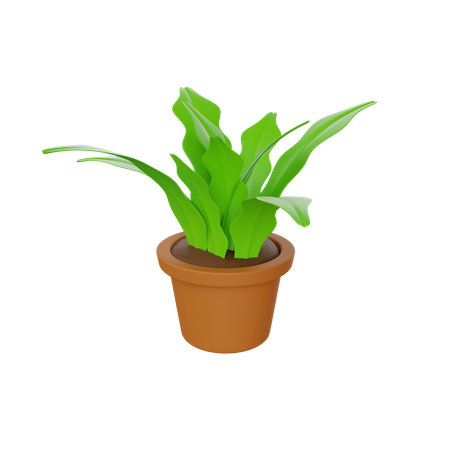 Plant Pot  3D Illustration