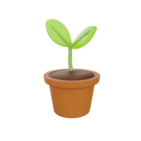 Plant Pot  3D Illustration