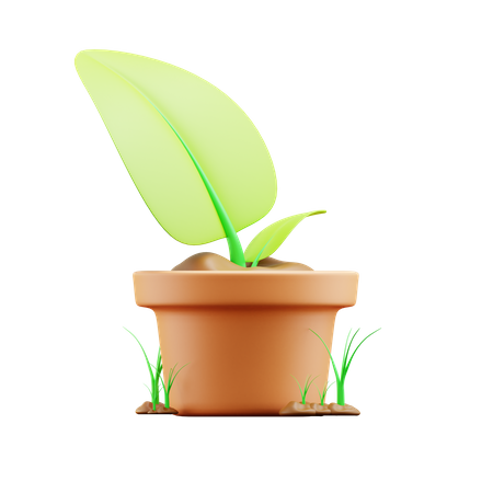 Plant pot  3D Illustration