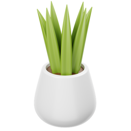 Planta  3D Icon