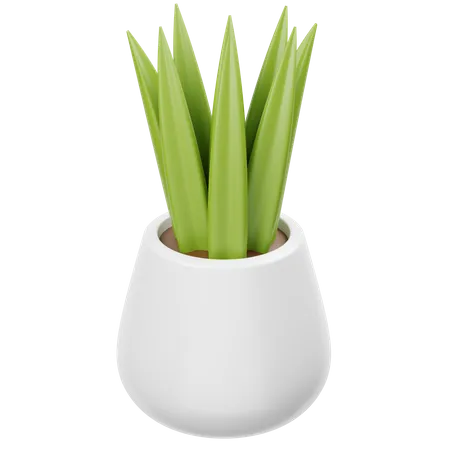 Planta  3D Icon