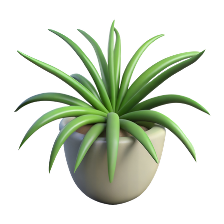 Planta araña  3D Icon