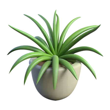 Planta araña  3D Icon