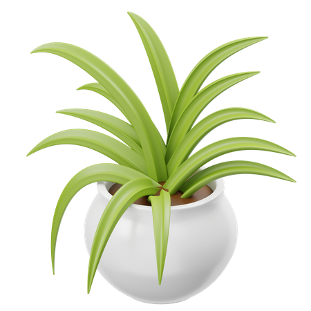 Planta araña  3D Icon