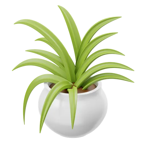 Planta araña  3D Icon