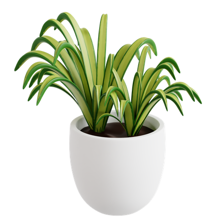 Planta araña  3D Icon