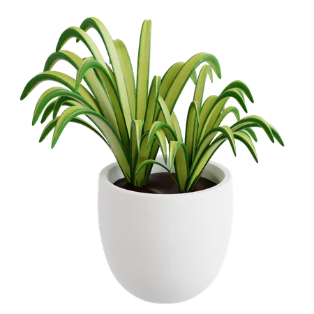 Planta araña  3D Icon