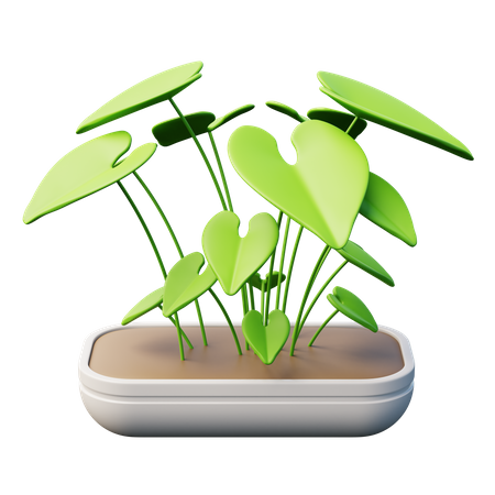 Planta ponta de flecha  3D Icon