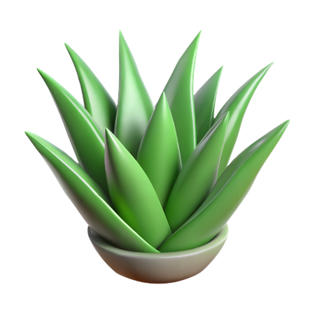 Planta de aloe vera  3D Icon