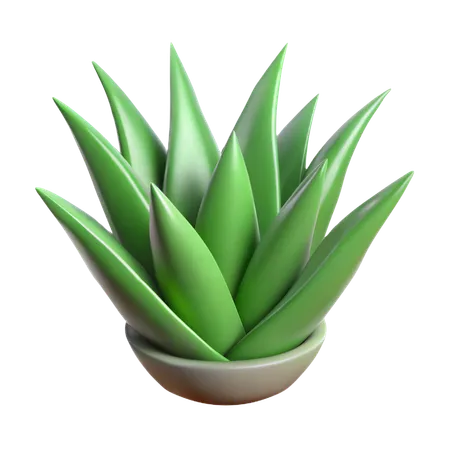 Planta de aloe vera  3D Icon