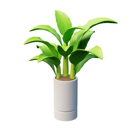 Planta de bengala muda  3D Icon