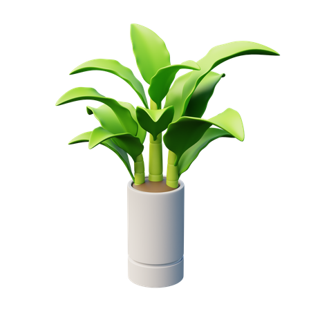 Planta de cañas mudas  3D Icon