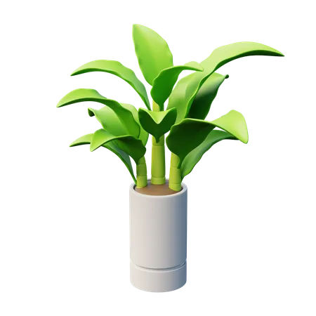 Planta de cañas mudas  3D Icon