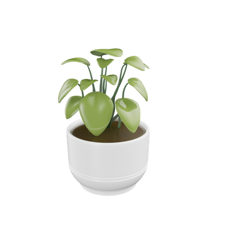 Planta da casa  3D Icon