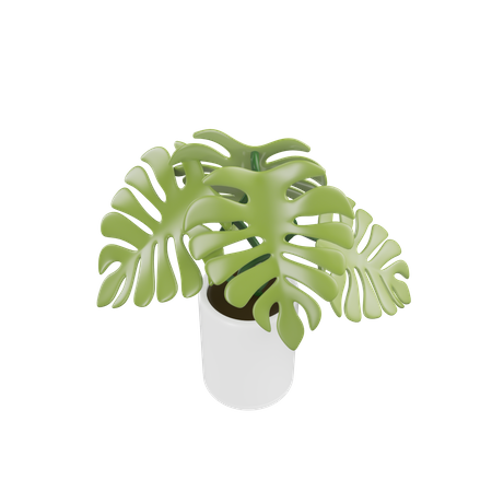 Planta da casa  3D Icon